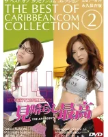 ザ・ベストコレクション 02 : 瀬咲るな, 長谷川なぁみ
