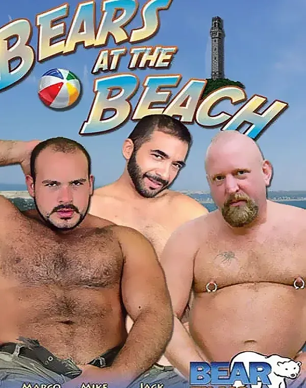 Bears At The Beachダウンロード