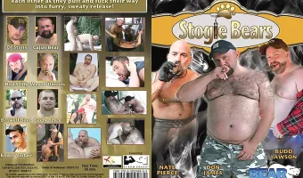 Stogie Bears