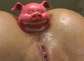 Buttman: Focused 9 (2 DVD Set) サンプル画像