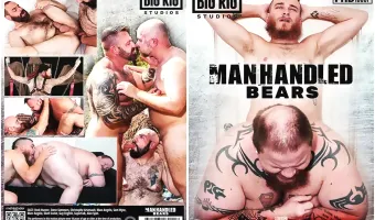 Manhandled Bears