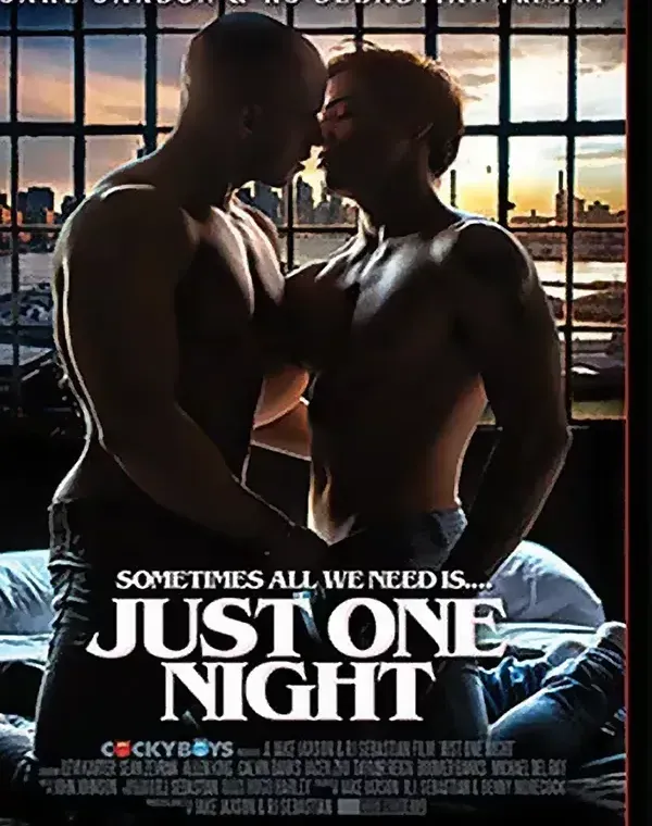 Just One Nightダウンロード