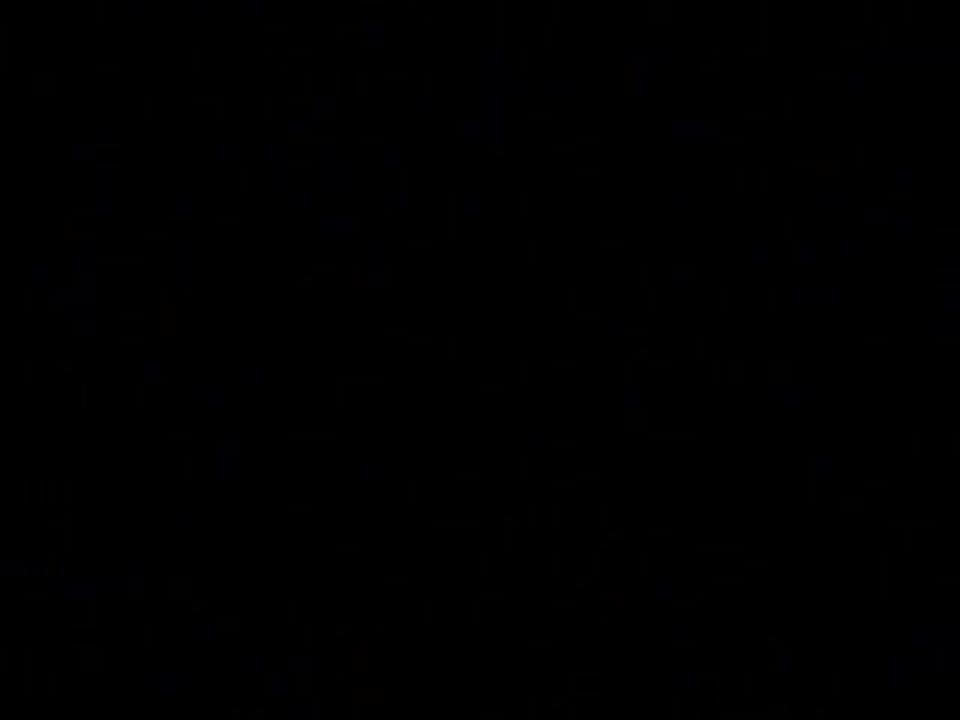 101 Black Beauties 2 (2 DVD Set) サンプル画像