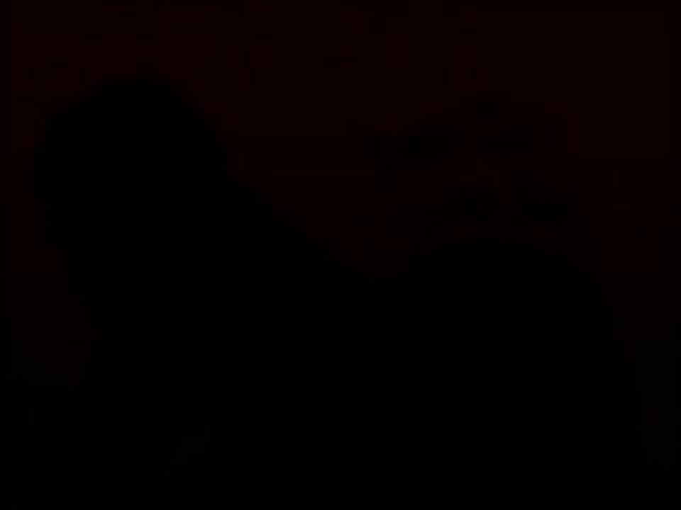 101 Black Beauties 2 (2 DVD Set) サンプル画像