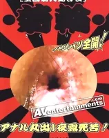Full View of an Anus Vol.1