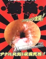 菊輪 Vol.2