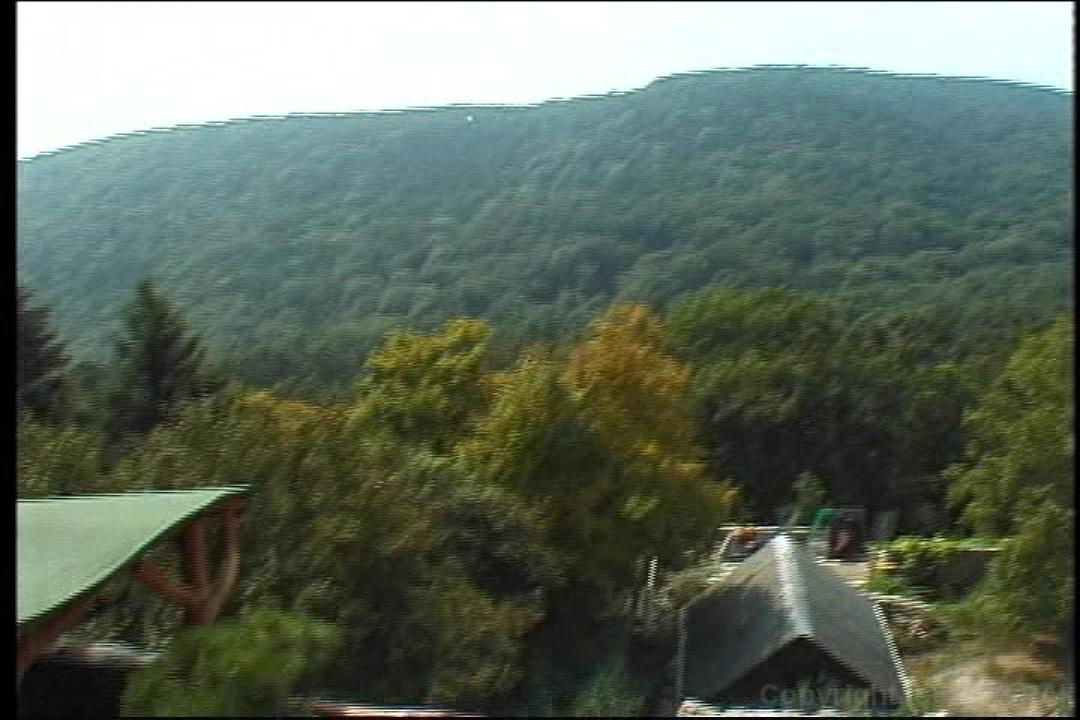 Buttman's Big Tit Adventure 5 サンプル画像