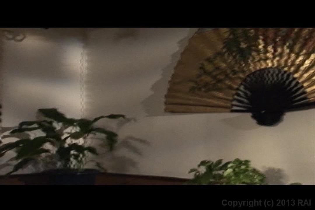 Memoirs of a Modern Day Geisha サンプル画像