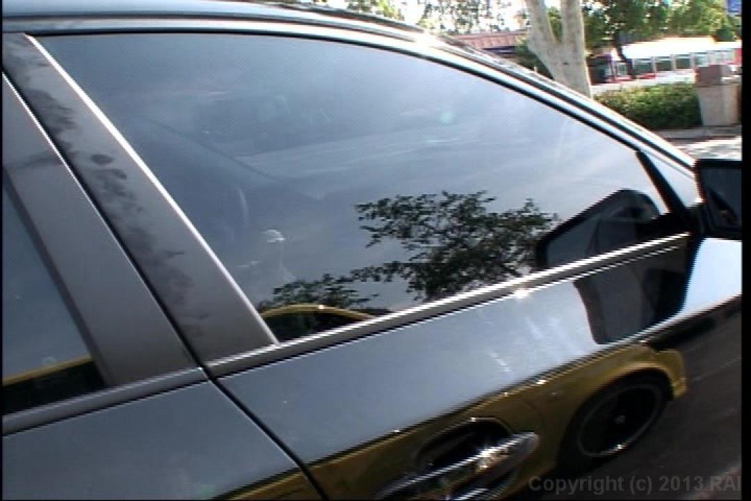 Whale Tail 1 サンプル画像