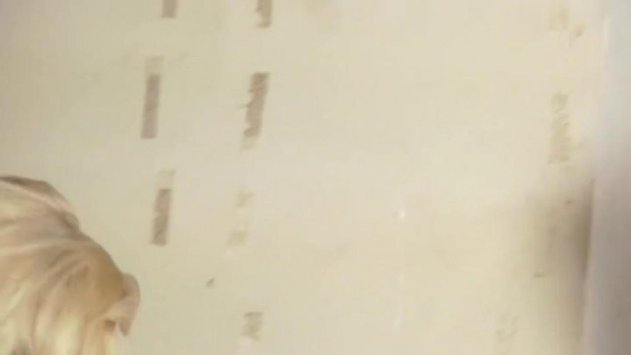 She Squirts (4 Hours DVD) サンプル画像