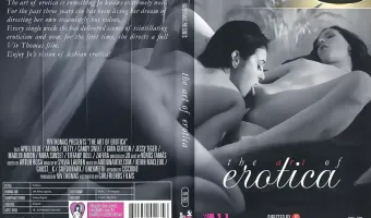 The Art Of Erotica