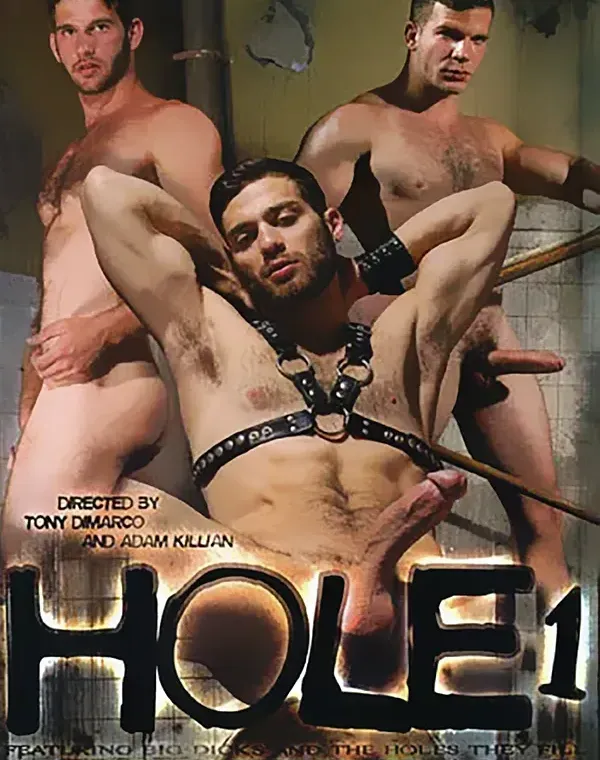 Holeダウンロード