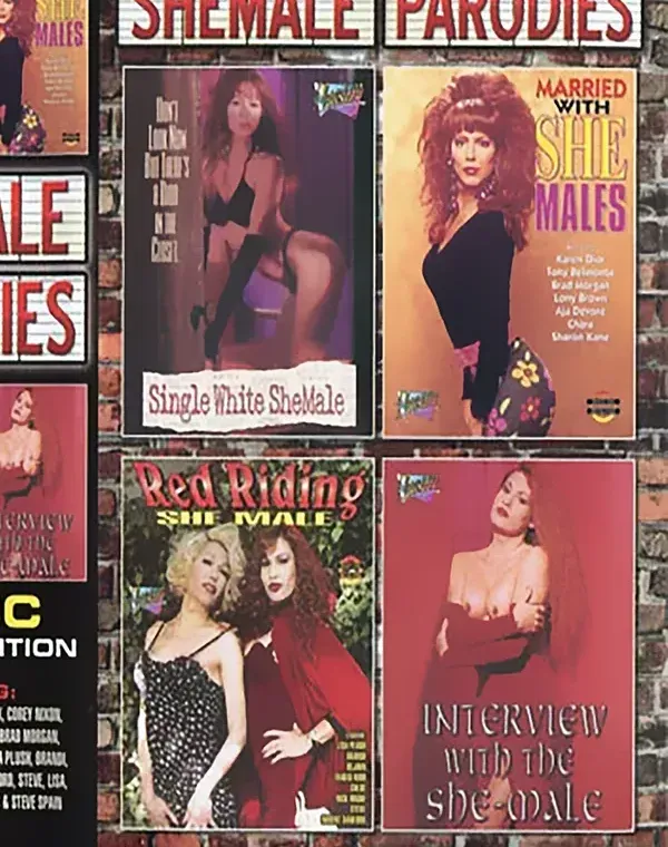 Shemale Parodies Special Edition 4 Pack (4 DVD Set)ダウンロード