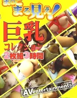 Stealth Series Vol. 3: 巨乳コレクション (2 DVD)