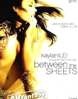 Between The Sheets
