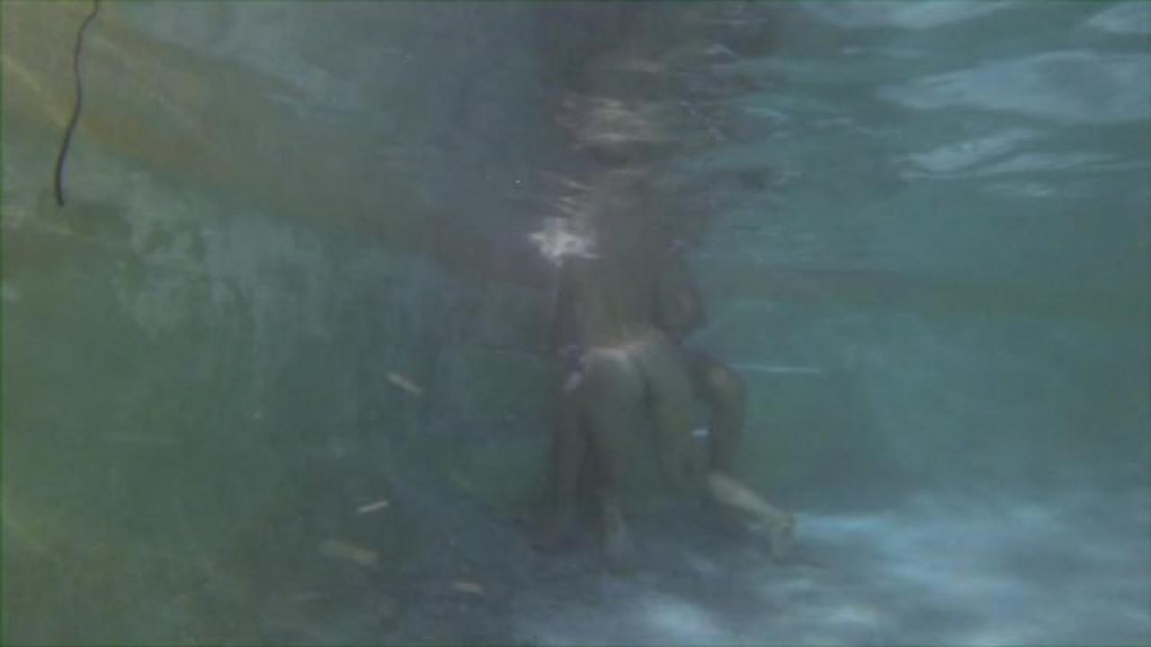 Water World Underwater Sex 2 サンプル画像