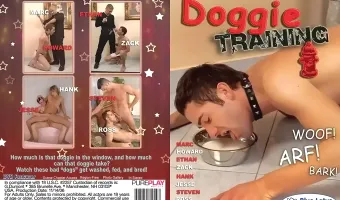 Doggie Training