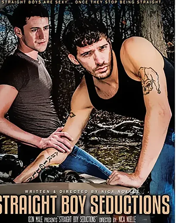 Straight Boy Seductionsダウンロード