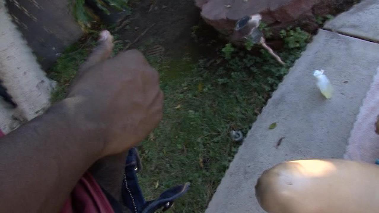 Tig Ole' Bitties' 5 サンプル画像0
