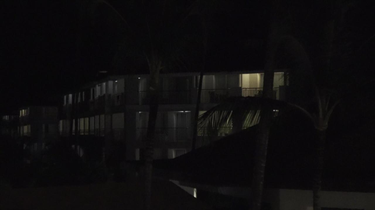 Wild Honeymoon In Punta Cana サンプル画像