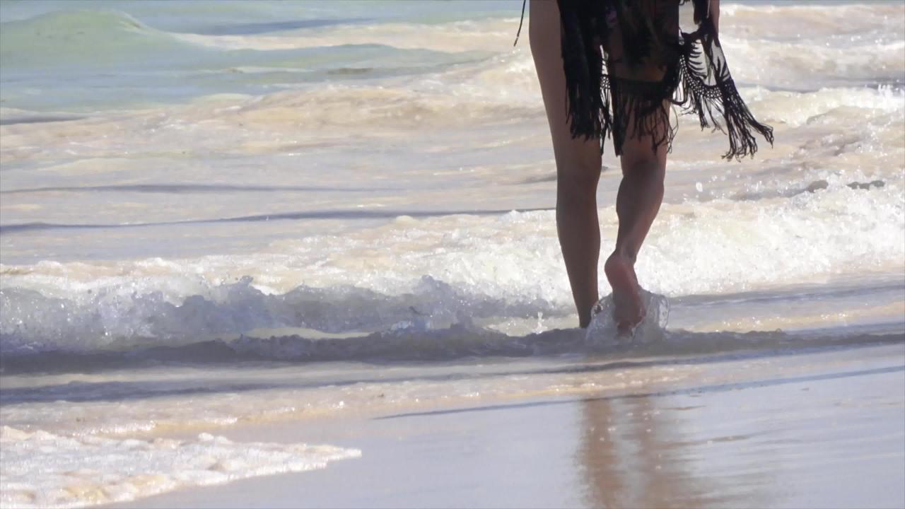 Wild Honeymoon In Punta Cana サンプル画像