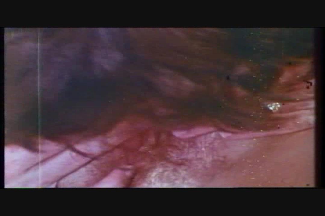 Candy Samples Triple Feature 4 サンプル画像