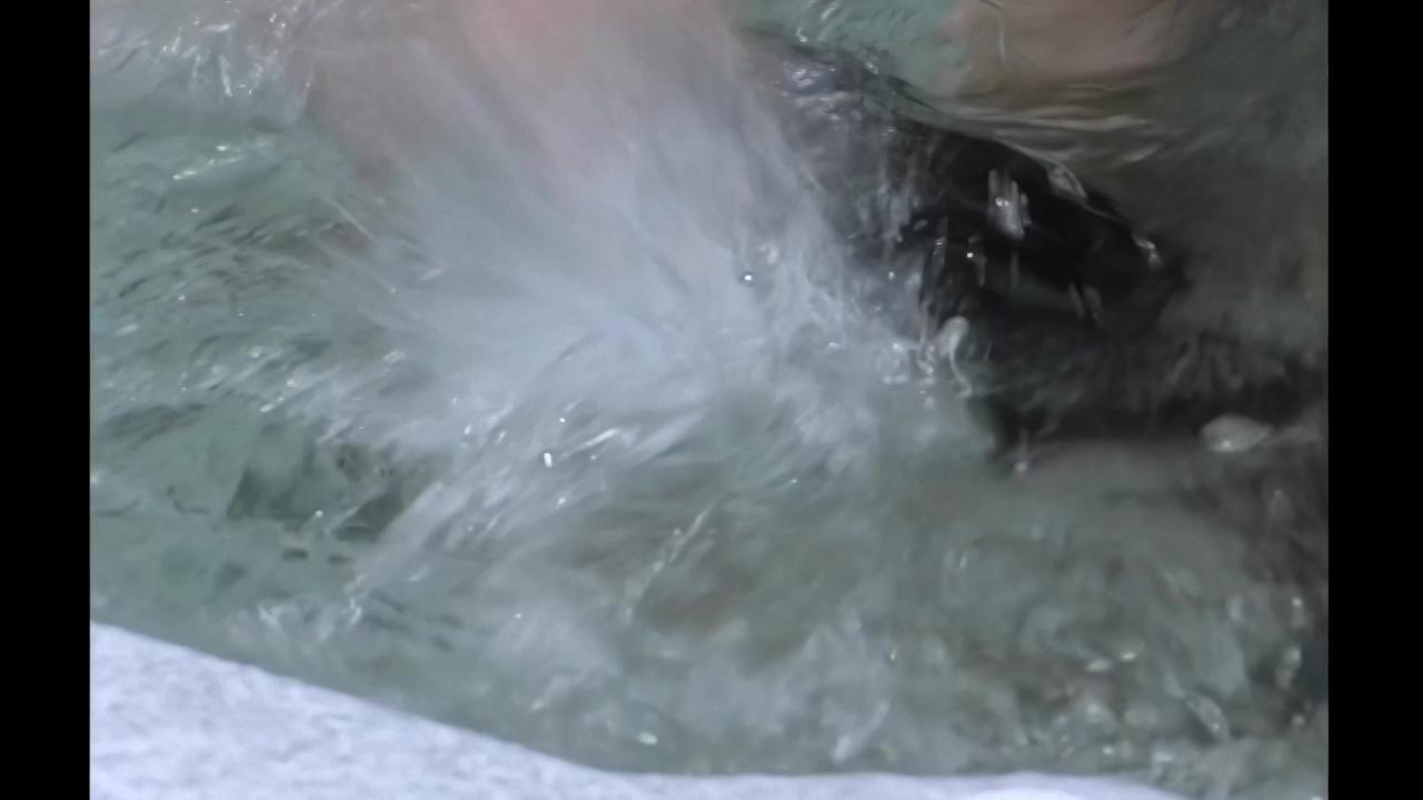 Wet Games サンプル画像