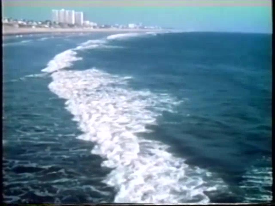 The Summer Of Scott Noll サンプル画像