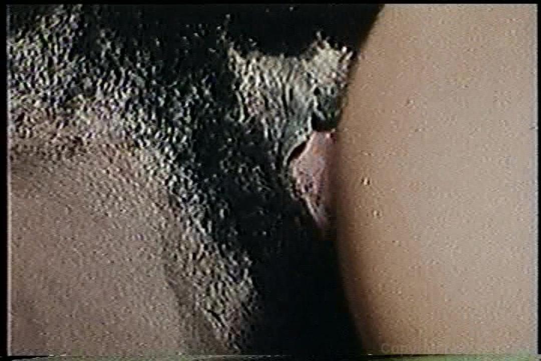 Huge Black Cocks サンプル画像35
