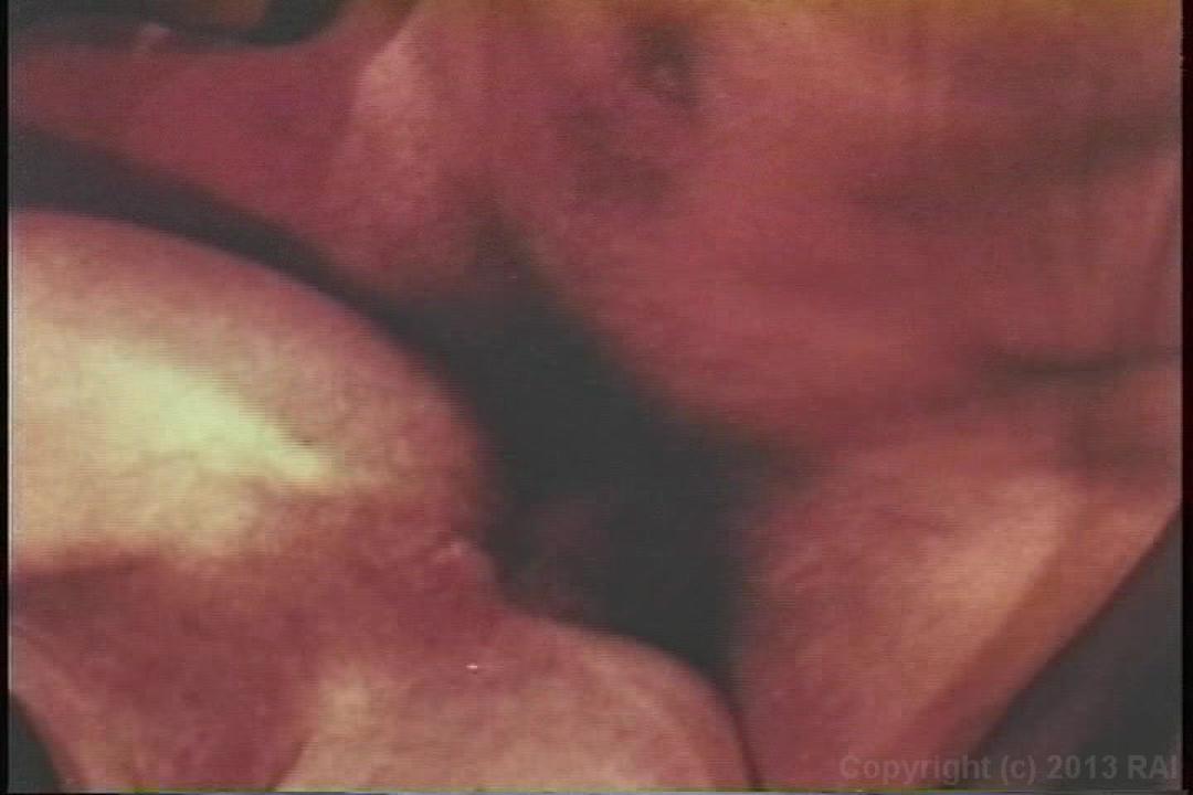 Huge Black Cocks サンプル画像50