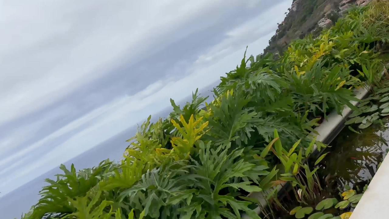 Follow Me サンプル画像5