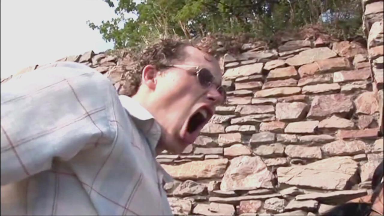 German Outdoor Orgy サンプル画像