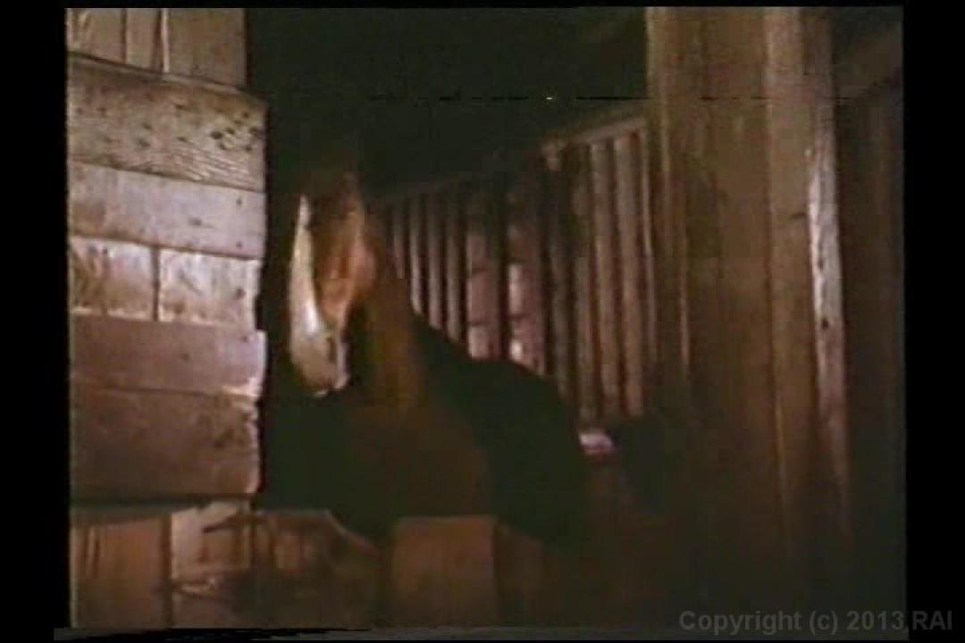 Rhonda Jo Petty Triple Feature サンプル画像1
