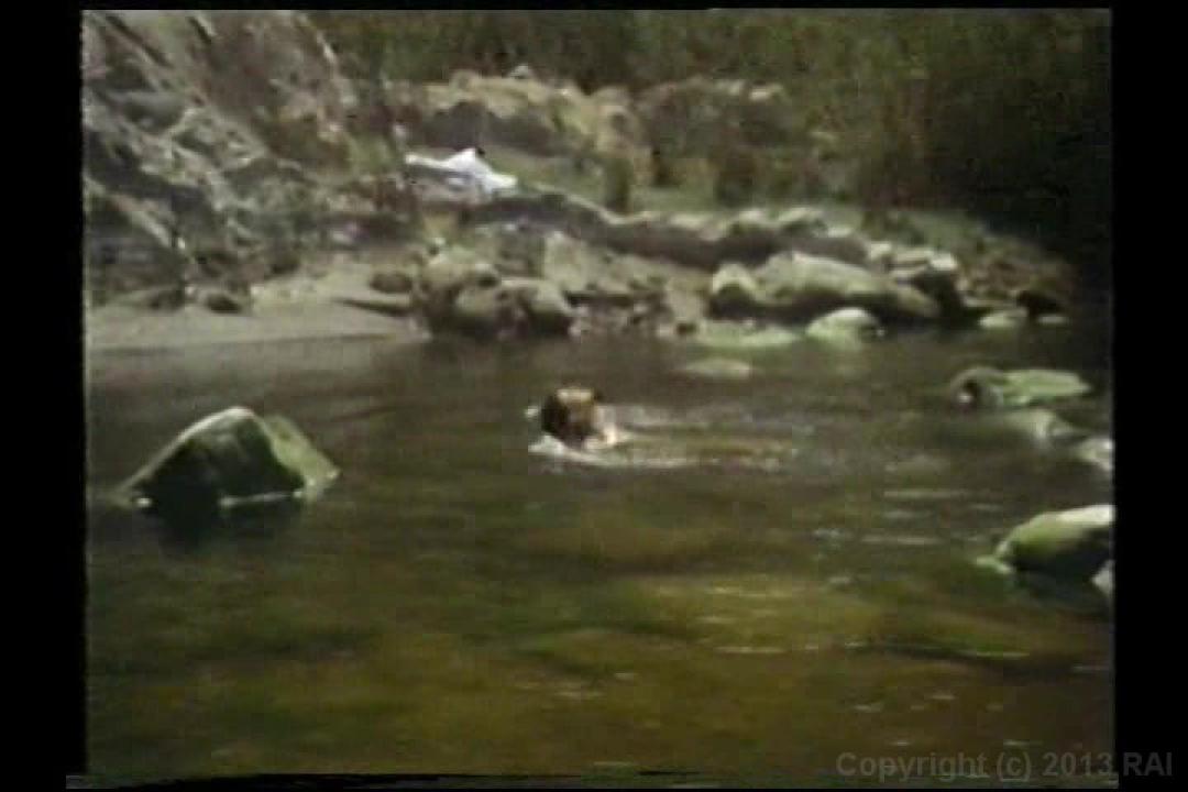Rhonda Jo Petty Triple Feature サンプル画像3