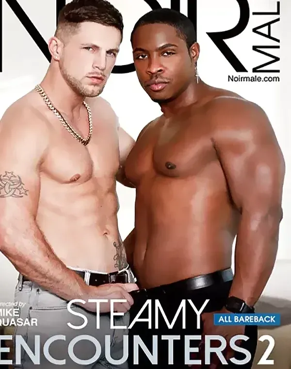Steamy Encounters 2ダウンロード