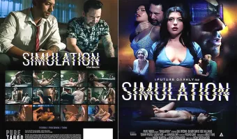 Simulation