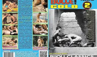 Bullet Gold 2