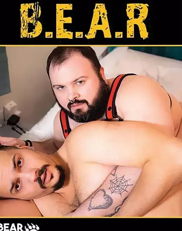 Bearダウンロード