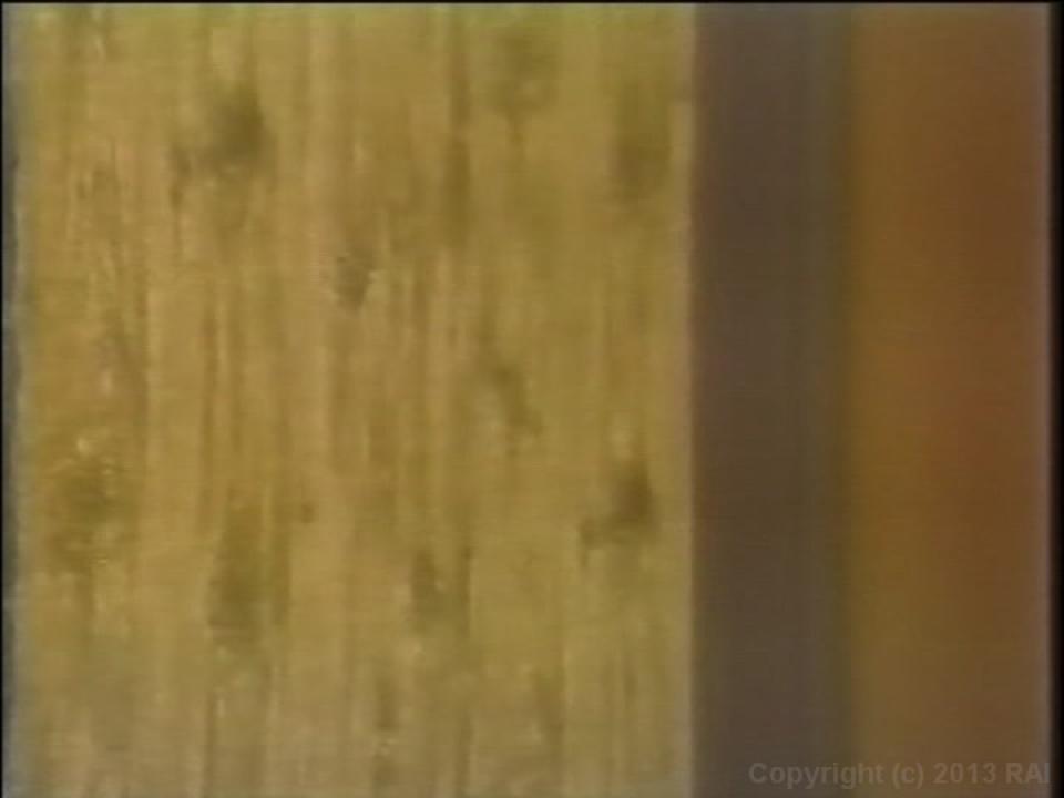 Christy Canyon DDD Teenager サンプル画像0