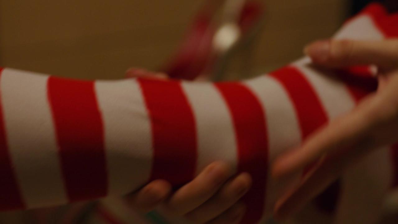 A Lesbian Christmas Story サンプル画像1