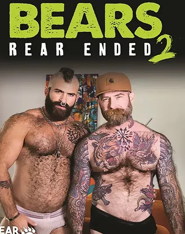 Bears Rear Ended 2ダウンロード