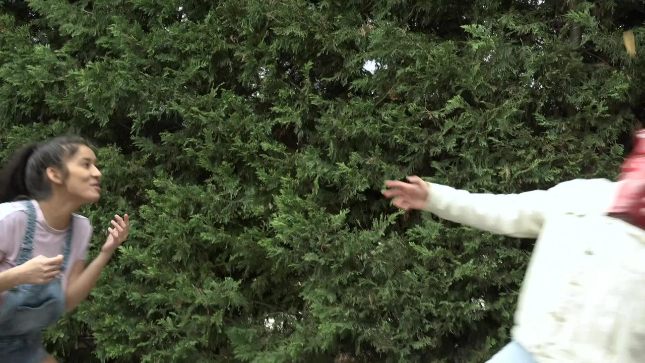 Teens Tushies & Tits サンプル画像