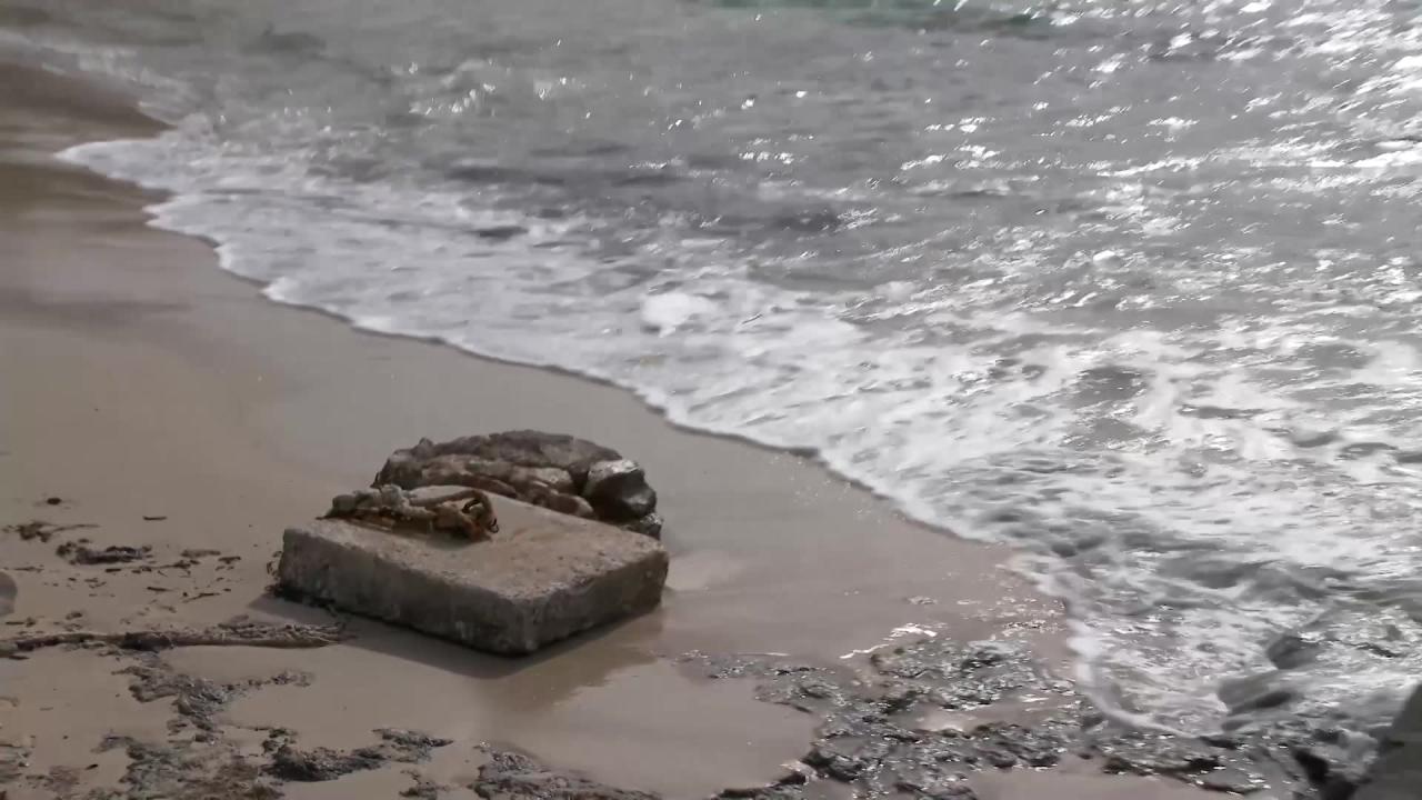 Summer Wet Dreams サンプル画像
