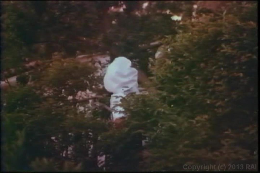 Seka Triple Feature 5 サンプル画像