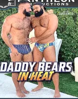 Daddy Bears In Heat