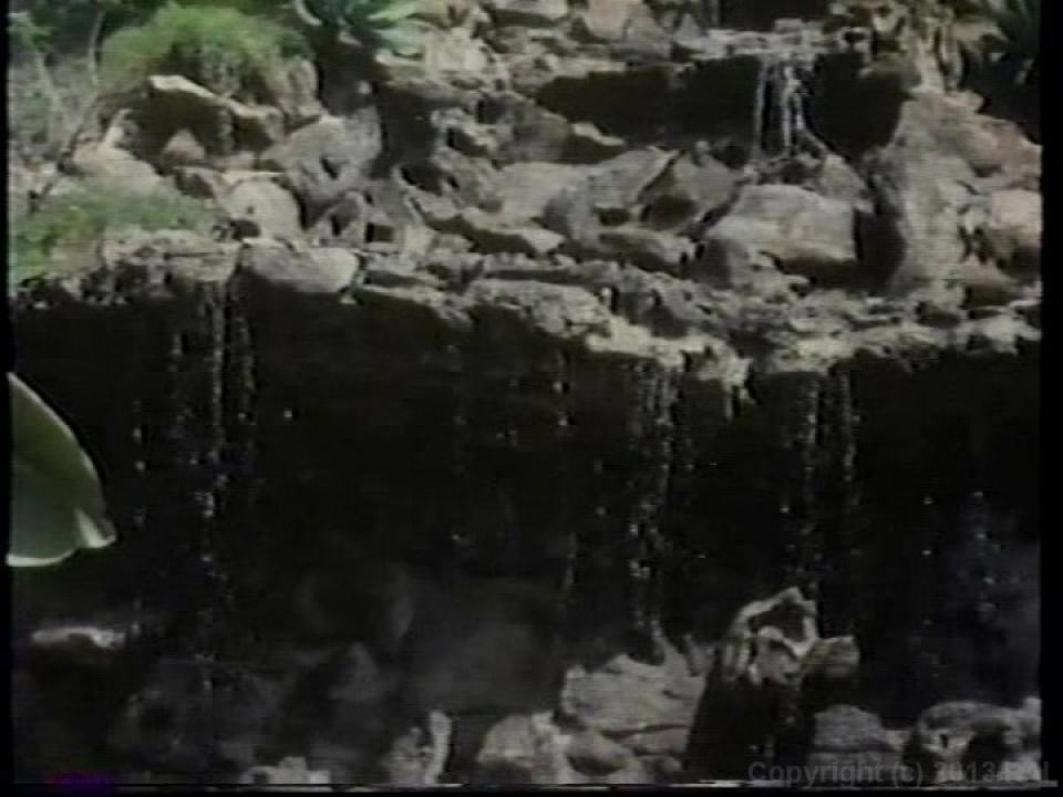 Colleen Brennan Triple Feature 4 サンプル画像56