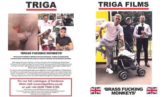 Brass Fucking Monkeys