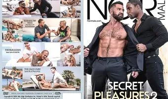 Secret Pleasures 2