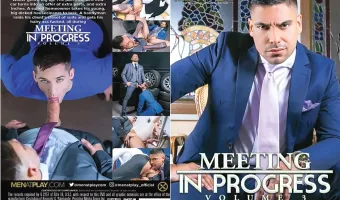 Meeting In Progress 3