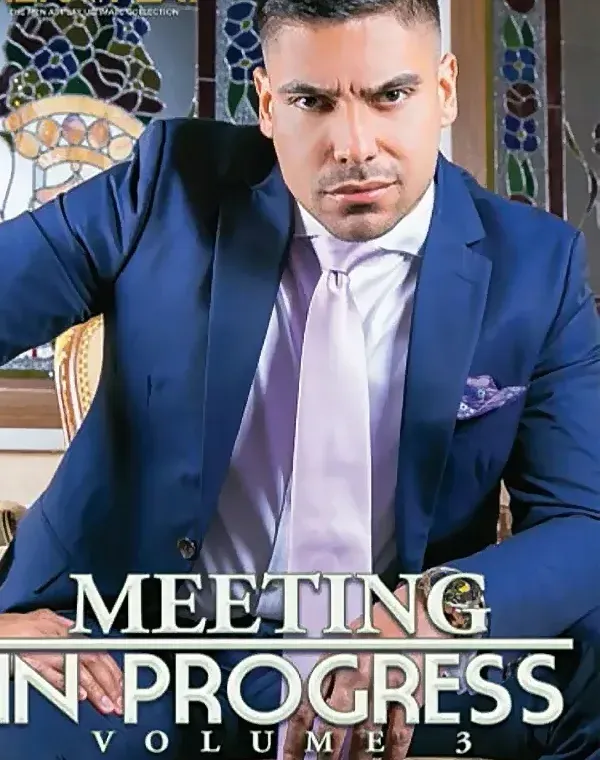 Meeting In Progress 3ダウンロード